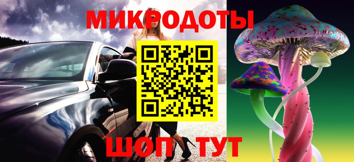 Галлюциногенные грибы Psilocybe Моздок
