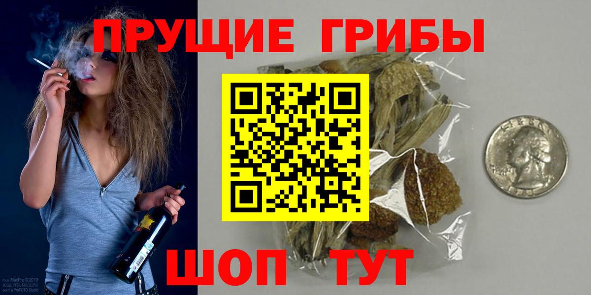 Псилоцибиновые грибы Magic Shrooms  Вход с VPN  Моздок  Псилоцибиновые грибы Psilocybine cubensis 